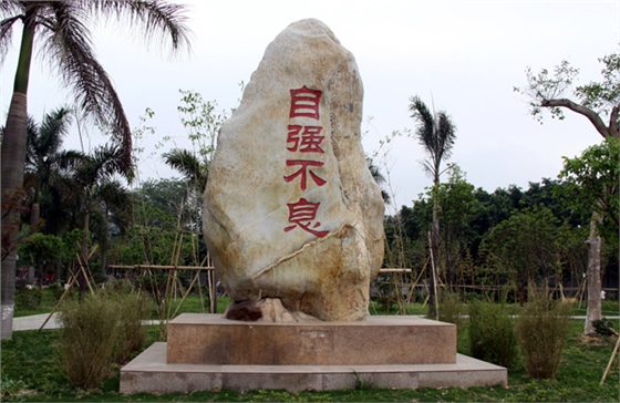 营区文化建设