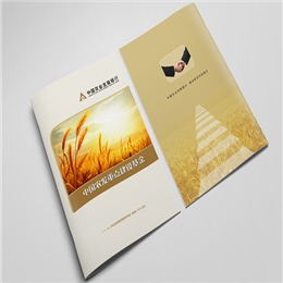 中国农业发展银行宣传册设计